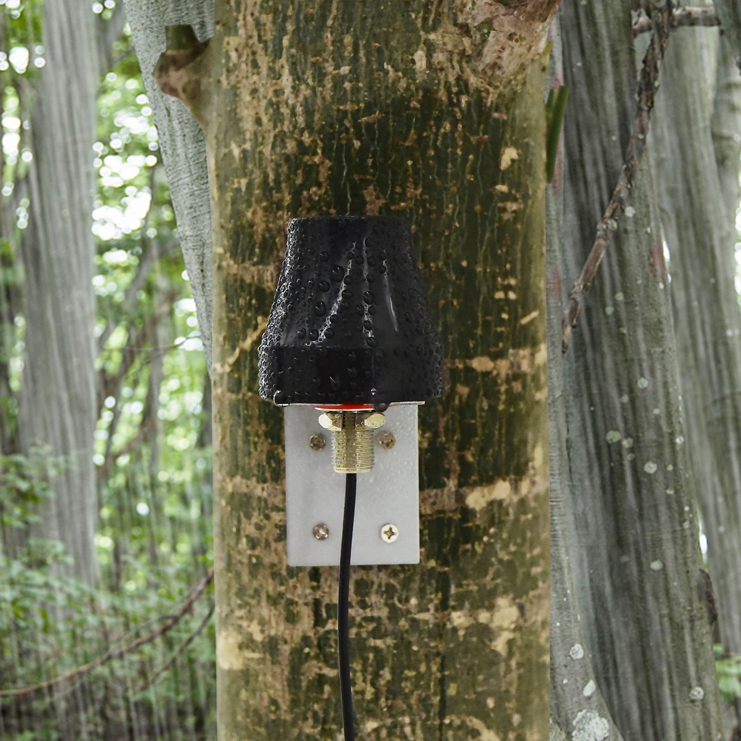 YILIANDUO Outdoor WiFi Aerial DualBand 2.4GHz 5.8GHz Wall Mount MIMO RP-SMA Male Waterproof WiFi Antenna + RF SMA Adapter